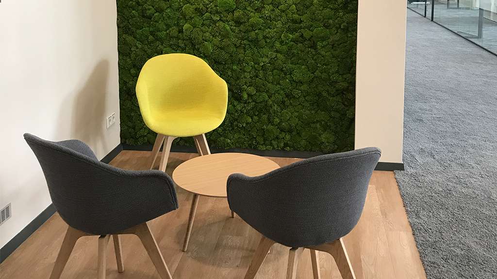Baum & Raum Innenraumbegrünung Leipzig