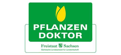 Baum & Raum Innenraumbegrünung Leipzig
